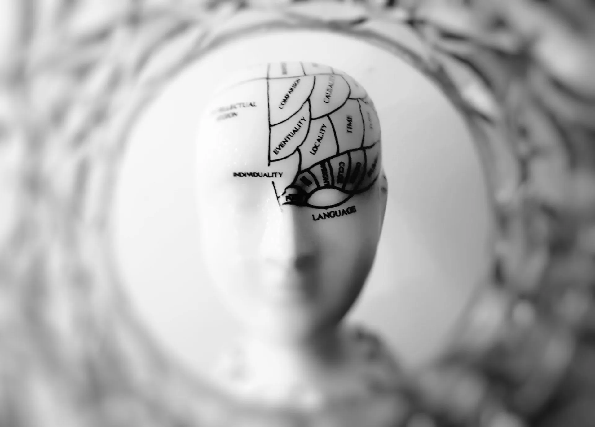 Our Curious Brain